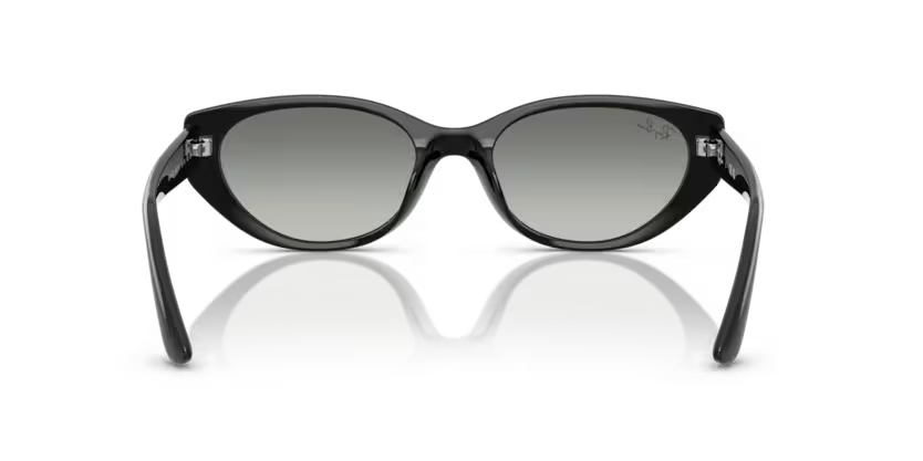Ray-Ban 4457D SOLE 667711 55
