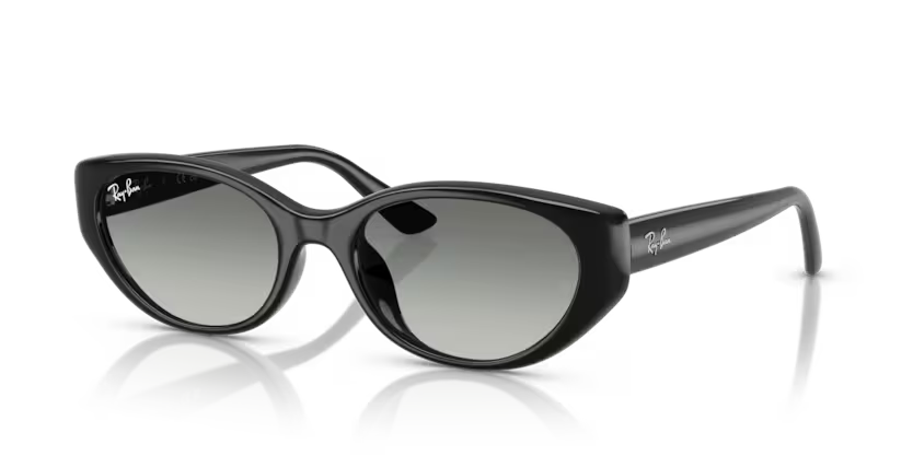 Ray-Ban 4457D SOLE 667711 55