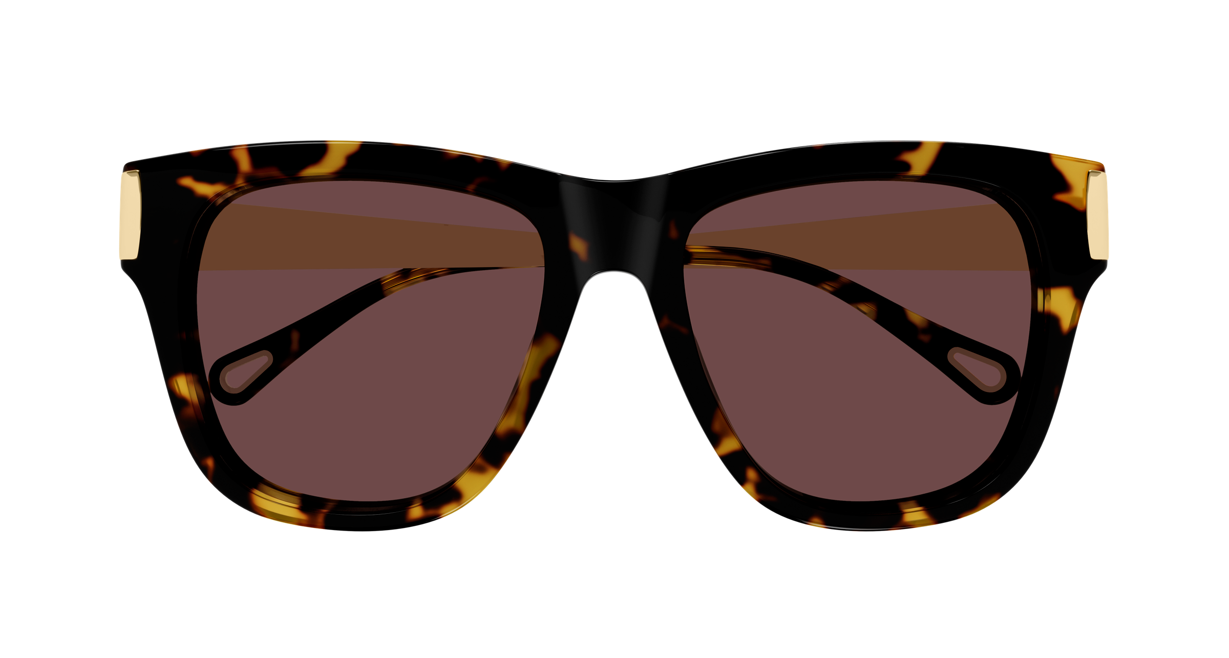 CHLOE CH0349S 003 havana gold violet 54