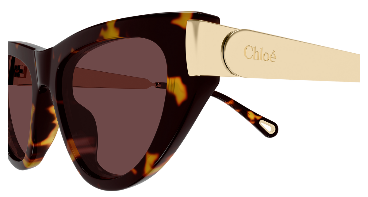CHLOE CH0350S 003 havana gold violet 54