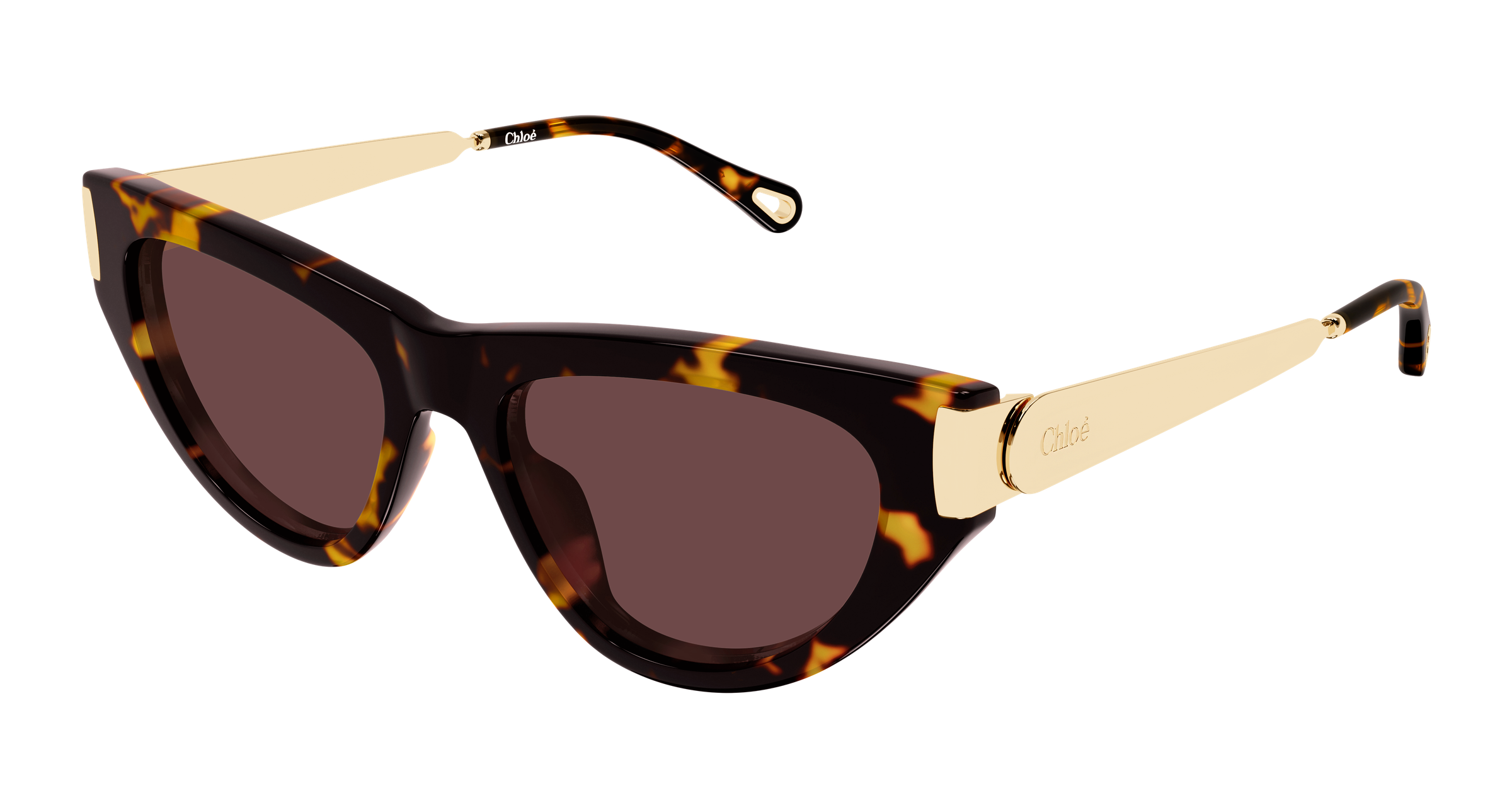 CHLOE CH0350S 003 havana gold violet 54