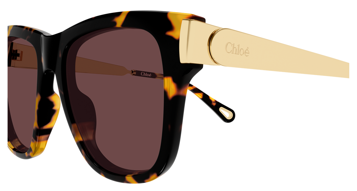 CHLOE CH0349S 003 havana gold violet 54
