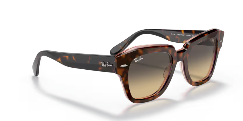 Ray-Ban 2186 SOLE 1324BG 49