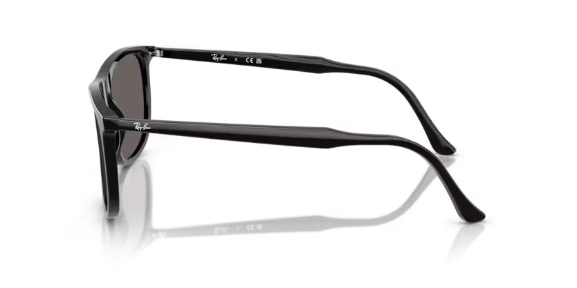 Ray-Ban 2216 SOLE 901/B1 58