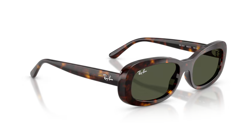 Ray-Ban 2221 SOLE 902/31 53