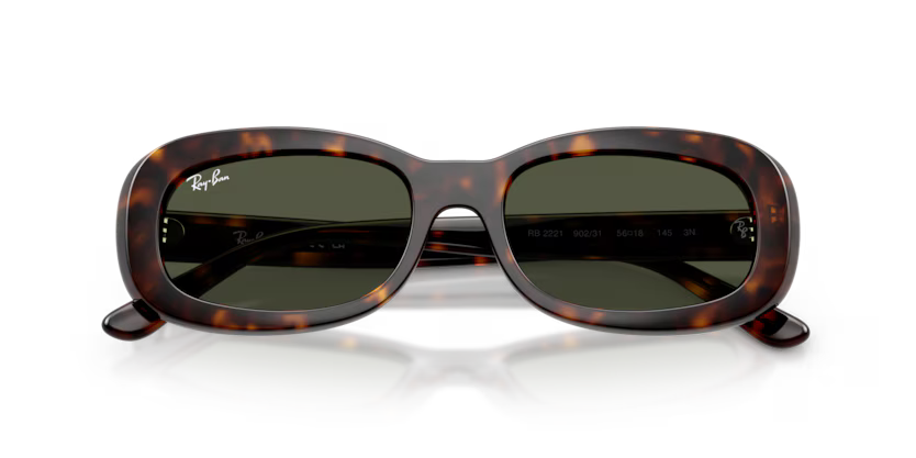 Ray-Ban 2221 SOLE 902/31 53