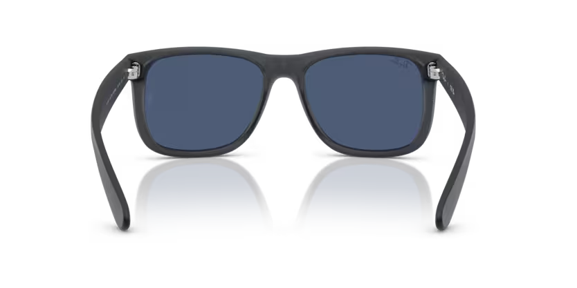 Ray-Ban 4165 SOLE 687380 55