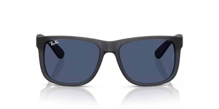 Ray-Ban 4165 SOLE 687380 55