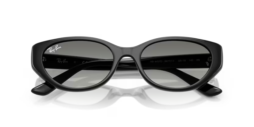 Ray-Ban 4457D SOLE 667711 55