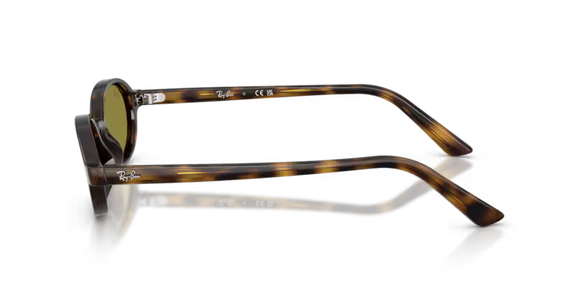 Ray-Ban 4472 SOLE 1359/2 51