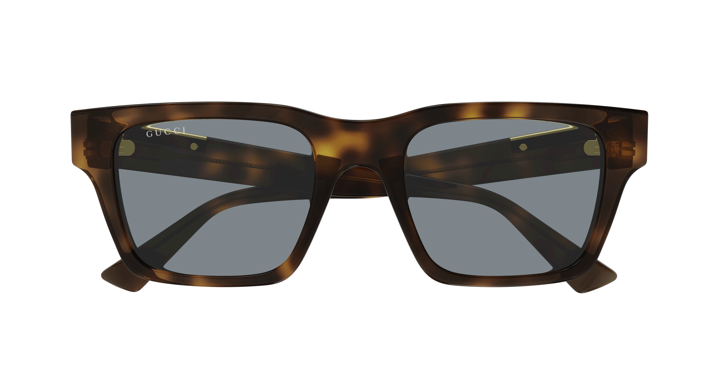 Gucci GG1889S 004 havana havana grey 51