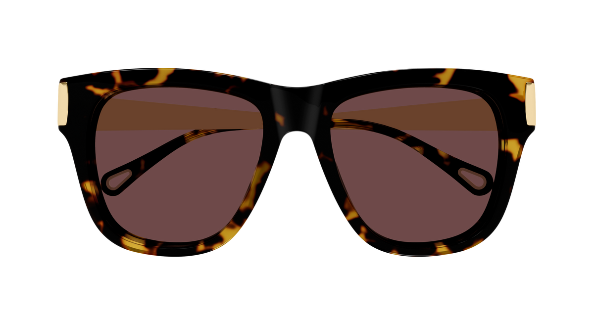 CHLOE CH0349S 003 havana gold violet 54
