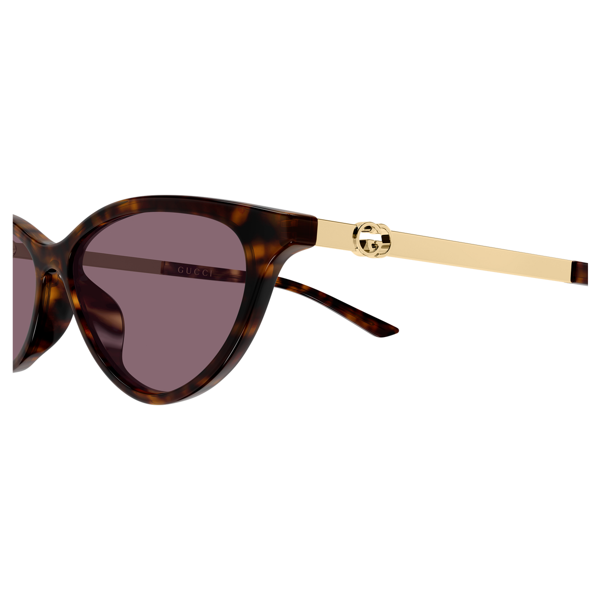 Gucci GG2211S 003 havana gold violet 54