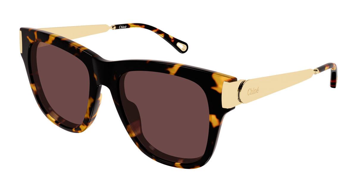 CHLOE CH0349S 003 havana gold violet 54
